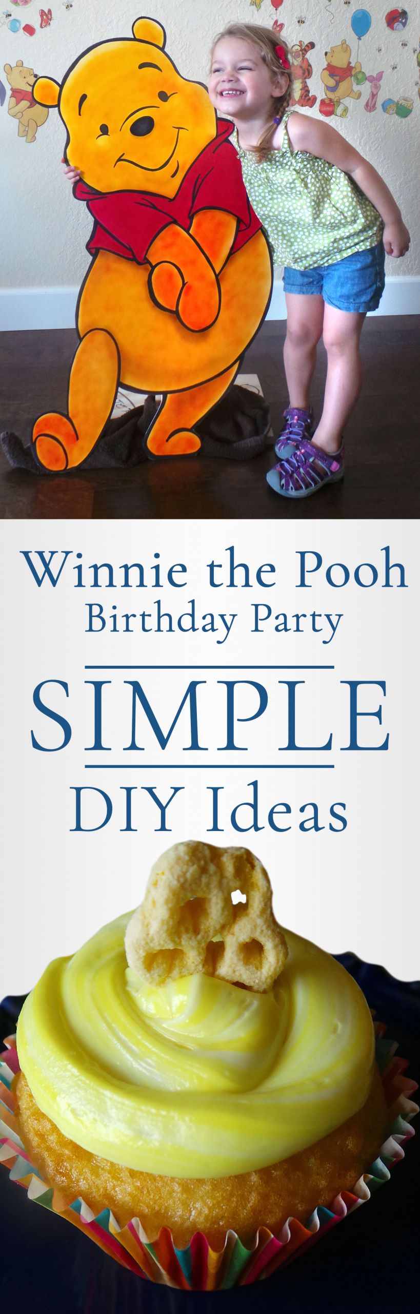 Winnie The Pooh Birthday Party
 Winnie the Pooh Birthday Party