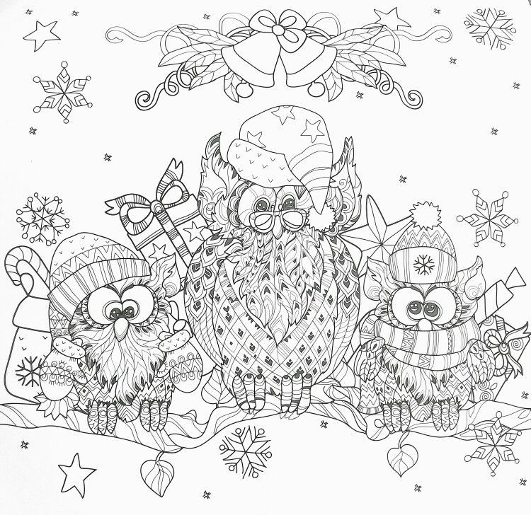 Winter Adult Coloring Pages
 Winter owls adult coloring page COLORING PAGES