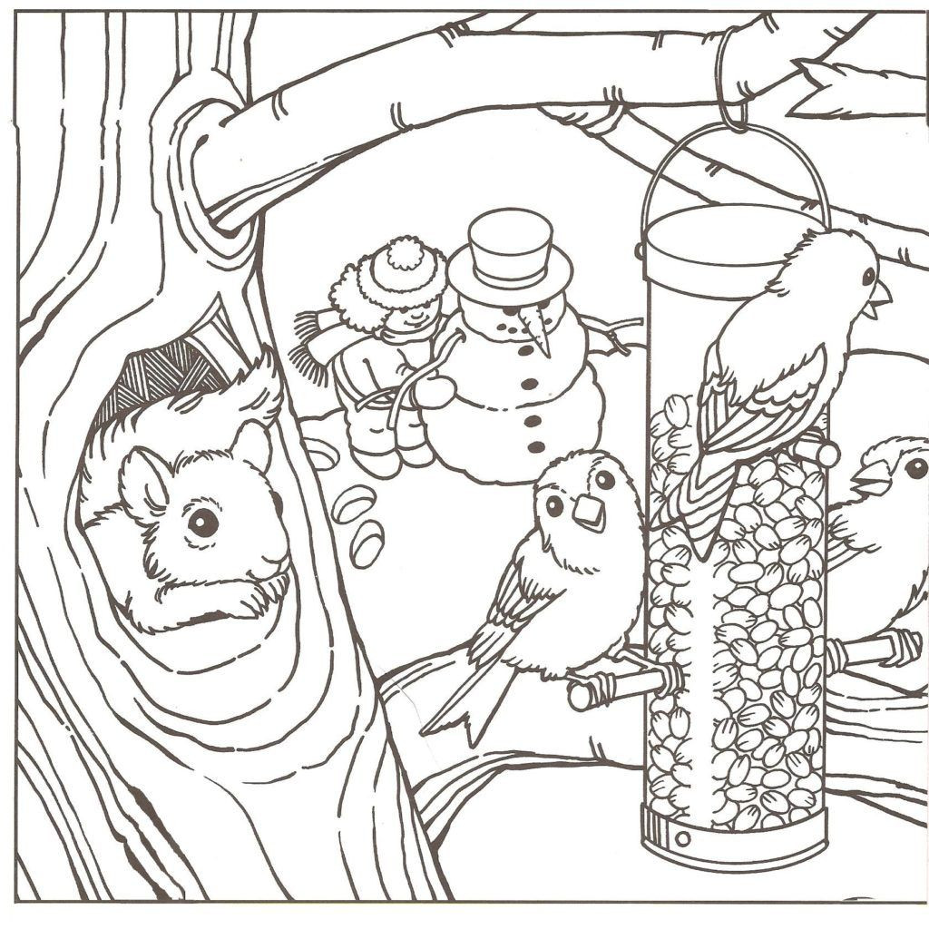 Winter Adult Coloring Pages
 Winter Coloring Pages For Adults Coloring Home