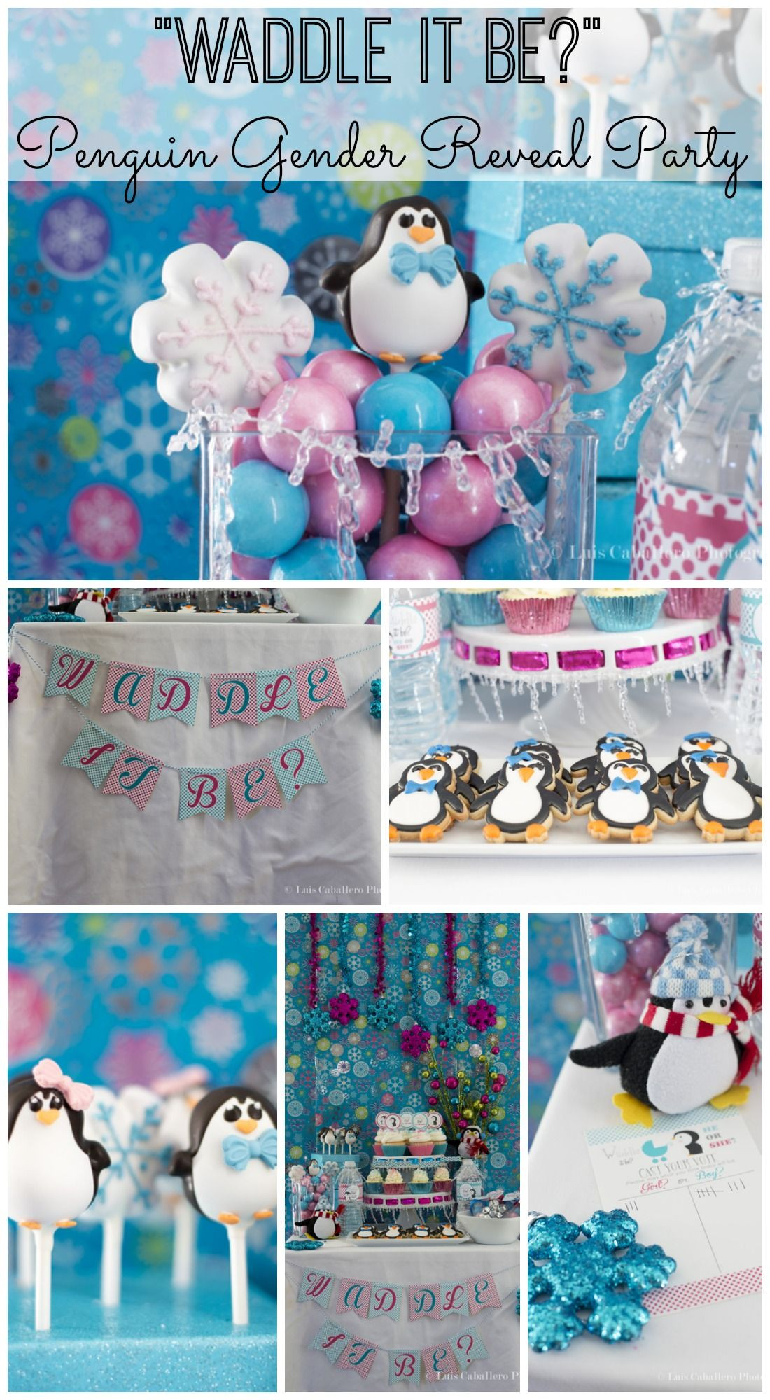 20 Of The Best Ideas For Winter Gender Reveal Party Ideas Home