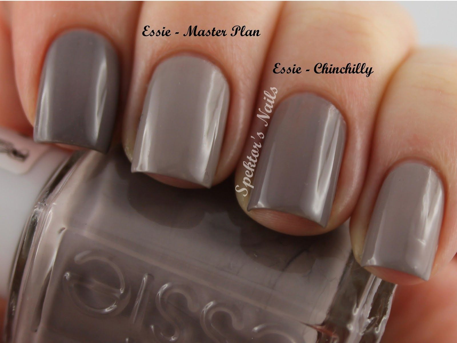 Winter Nail Colors For Pale Skin
 Nude polish for the winter Essie Master Plan and
