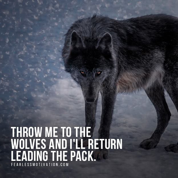 Wolf Inspirational Quotes
 20 Strong Wolf Quotes To Pump You Up