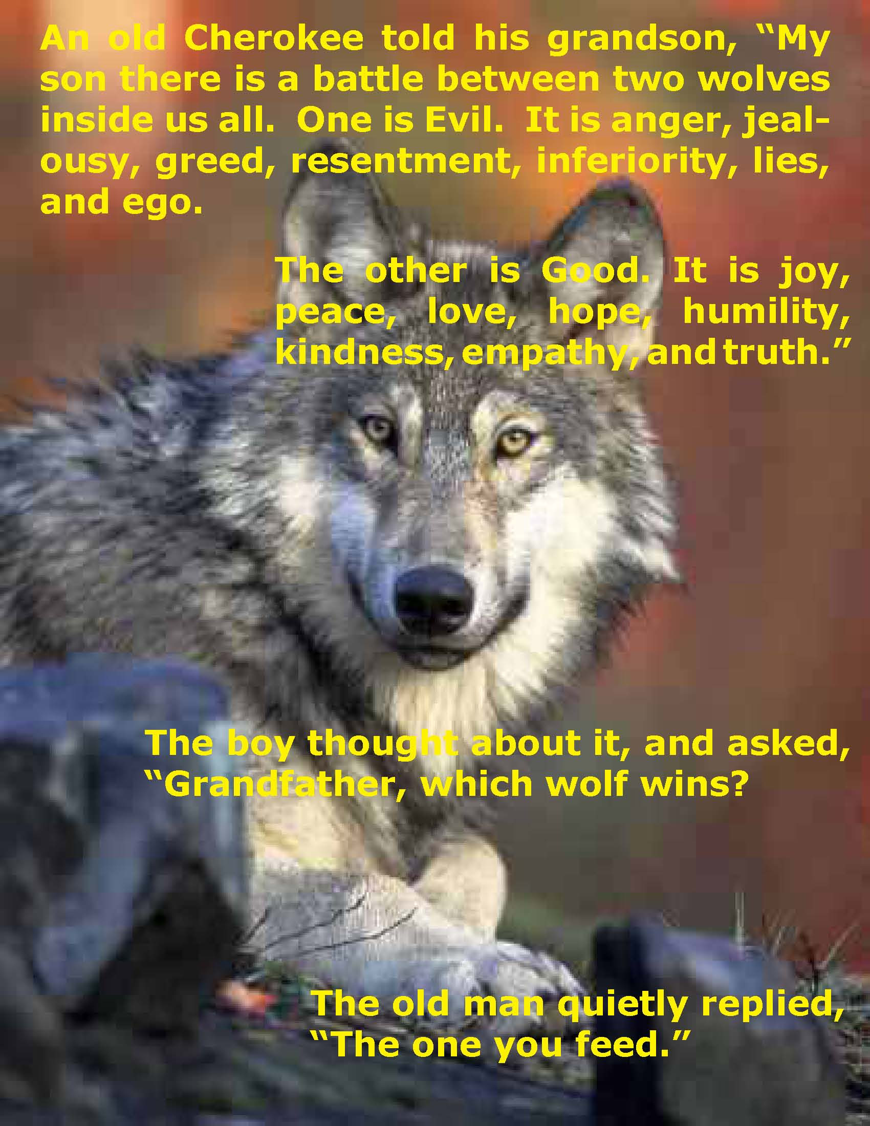 Wolf Inspirational Quotes
 Inspirational Wolf Quotes QuotesGram