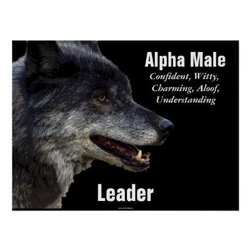 Wolf Inspirational Quotes
 Alpha Male Grey Wolf Motivational Poster