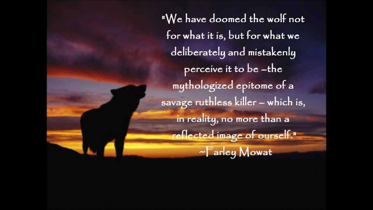 Wolf Inspirational Quotes
 Inspiring Amusing & True Wolf Quotes