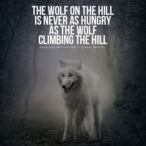 Wolf Inspirational Quotes
 20 Strong Wolf Quotes To Pump You Up