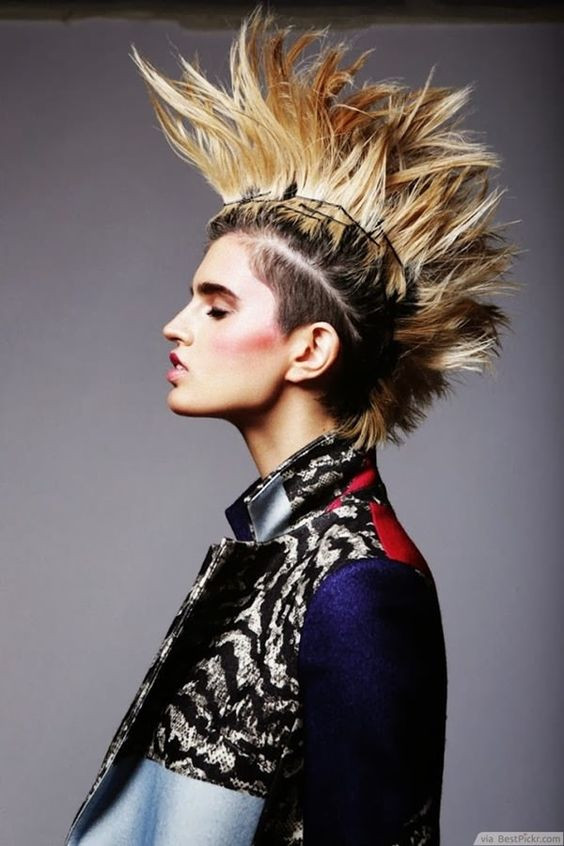 Women Punk Hairstyle
 40 Long and Short Punk Hairstyles for Guys and Girls