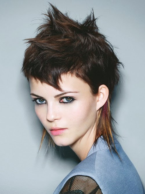 Women Punk Hairstyle
 Short Punk Hairstyles for Teenagers Stephig