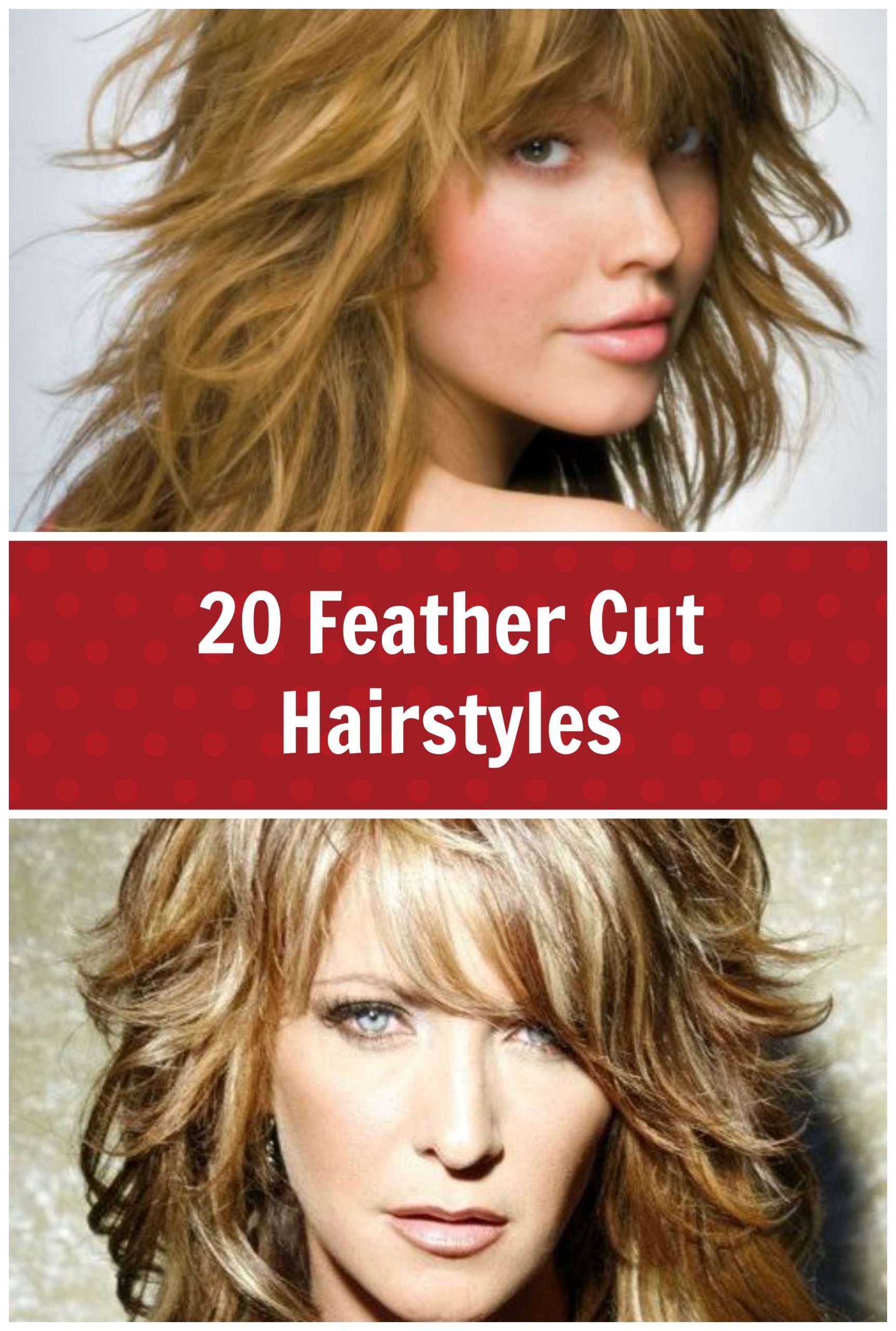 Women'S Feathered Hairstyles
 Pin on Haircuts