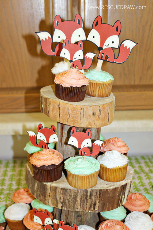 Woodland Themed Baby Shower Cupcakes
 Woodland Themed Baby Shower DIY Woodland Animal Party