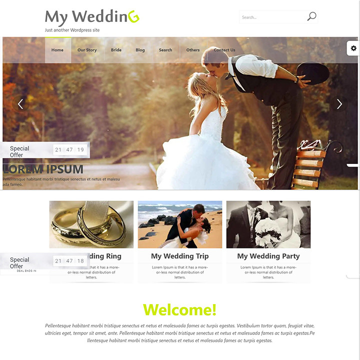 Wordpress Wedding Theme
 20 Elegant and Chic Best Free Wedding WordPress Themes For