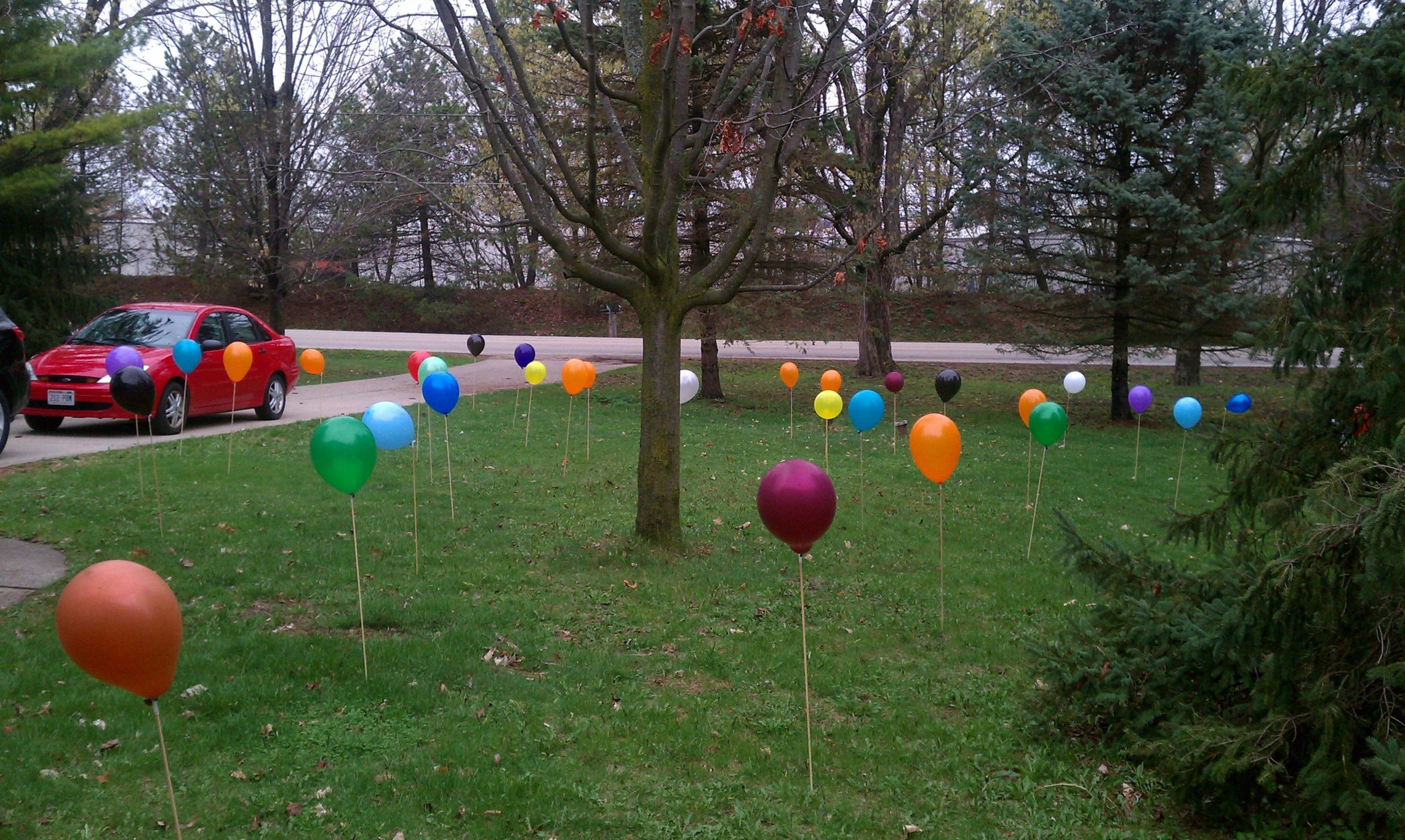 Yard Decorations For Birthdays
 40 Balloons in Front Yard