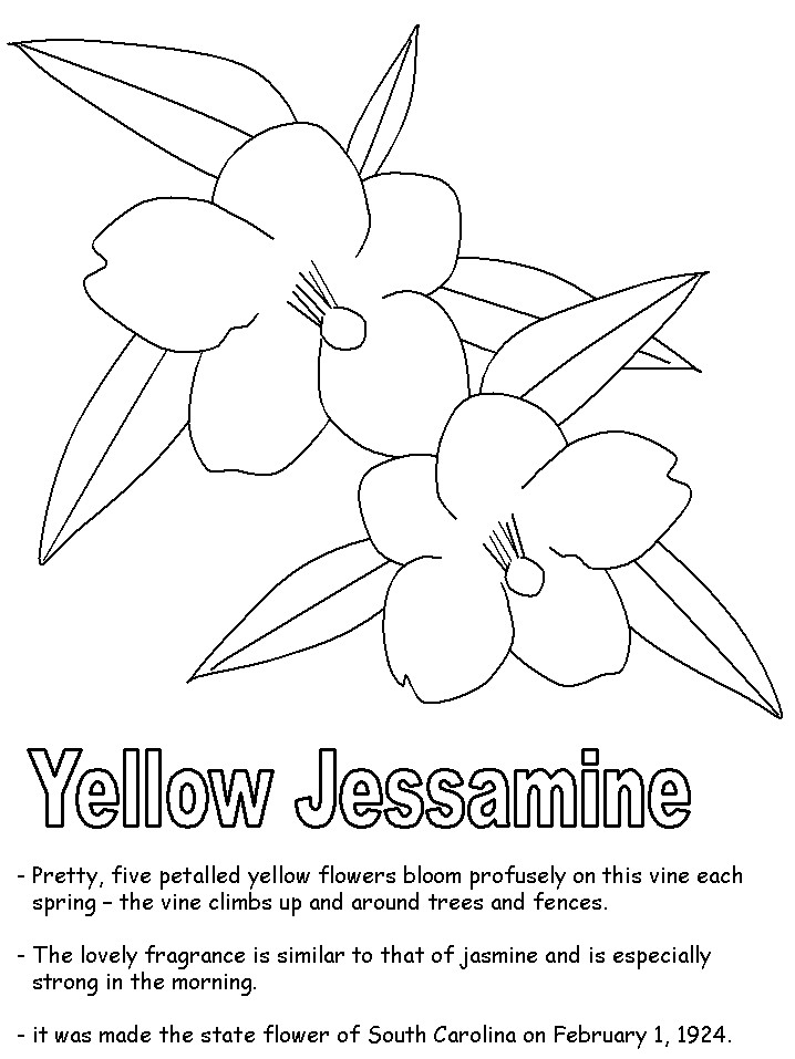 Yellow Coloring Pages For Toddlers
 Yellow Jessamine coloring pages
