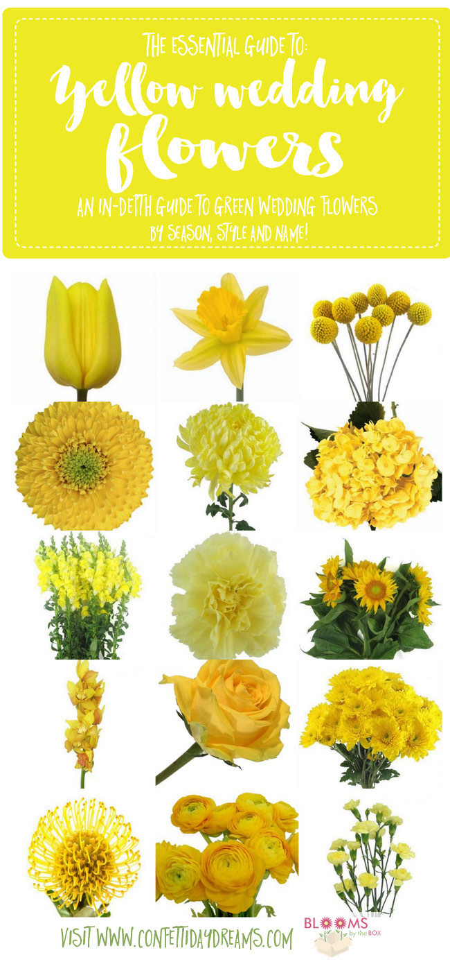 Yellow Flowers For Wedding
 Names and Types of Yellow Wedding Flowers with Pics