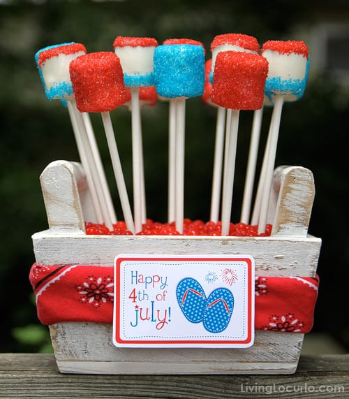 4th Of July Diy Crafts
 4th of July Crafts Food And Fun 13 Ideas