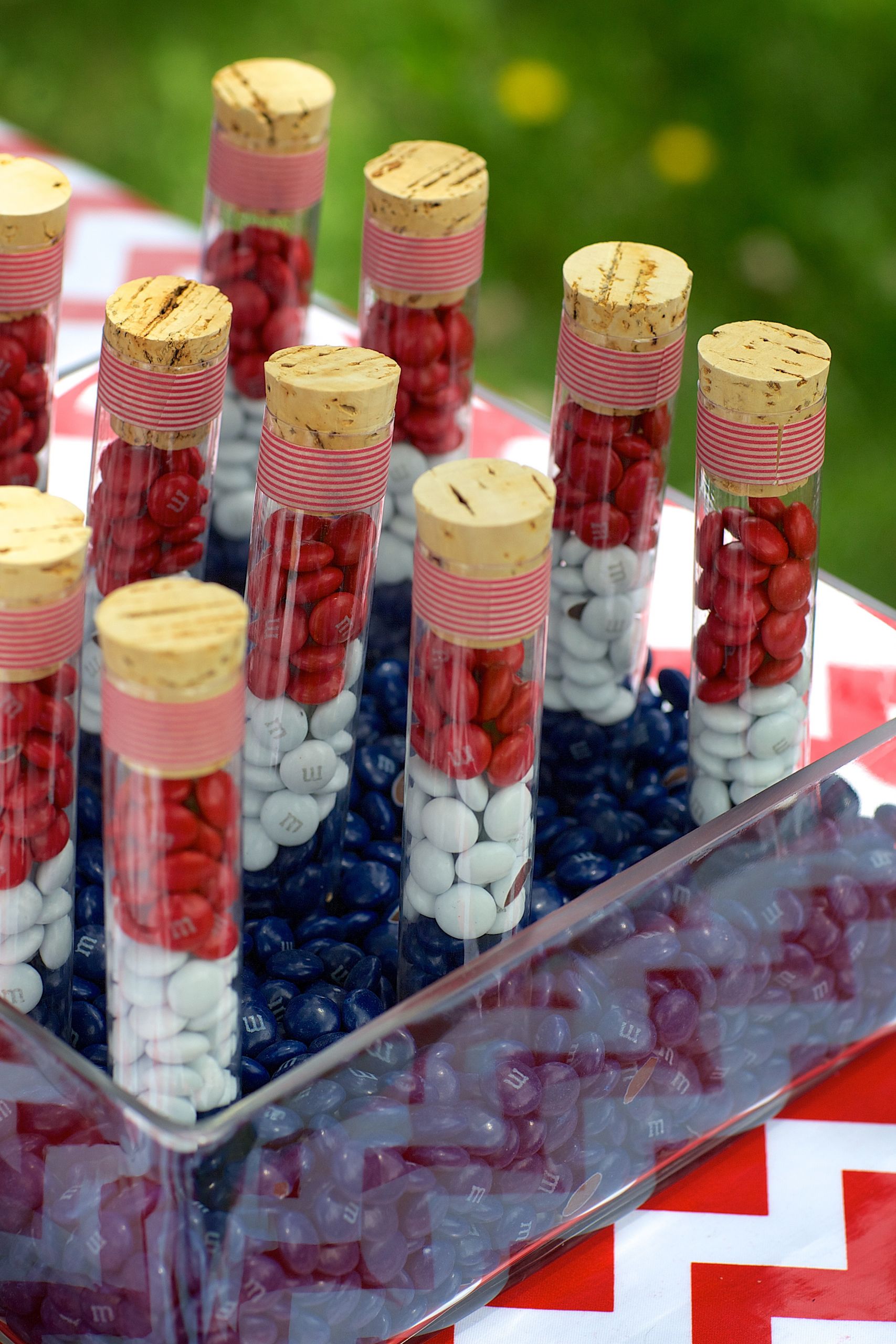 4th Of July Ideas
 4th of July Party and Giveaway