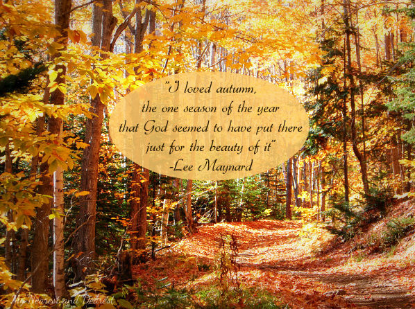 Beautiful Fall Quotes
 Beautiful Fall Quotes QuotesGram