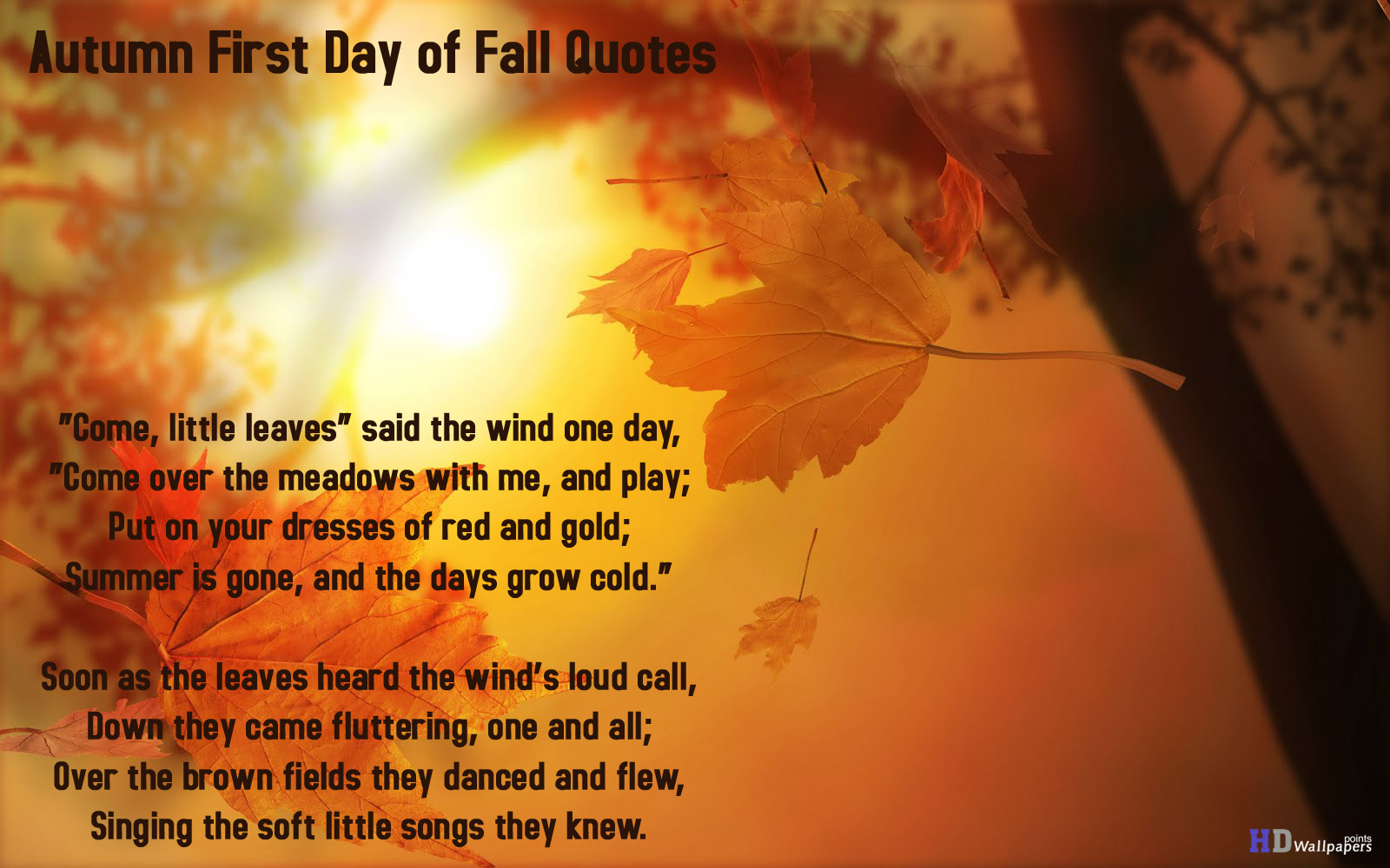 Beautiful Fall Quotes
 Beautiful Autumn Day Quotes QuotesGram