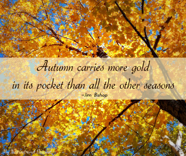 Beautiful Fall Quotes
 Beautiful Autumn Quotes QuotesGram