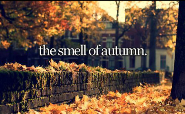 Beautiful Fall Quotes
 Beautiful Fall Quotes QuotesGram