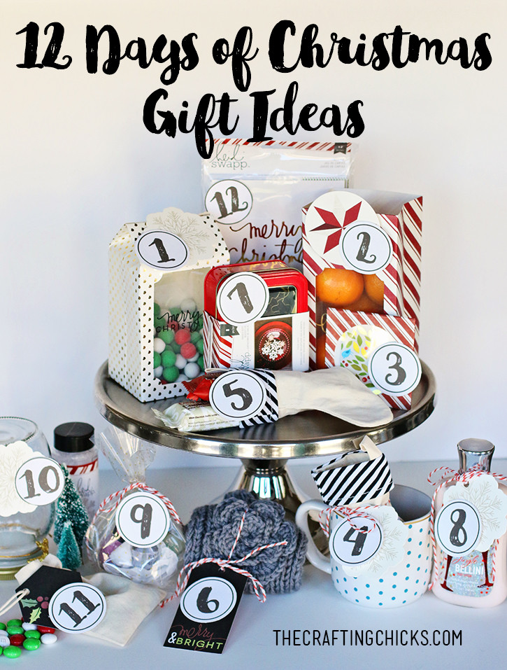 Christmas Gift Idea
 12 Days of Christmas Gift Ideas