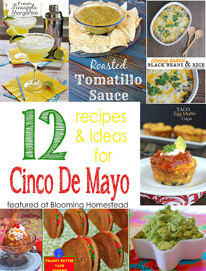 Cinco De Mayo Recipes Ideas
 Cinco De Mayo Recipes and Ideas Blooming Homestead