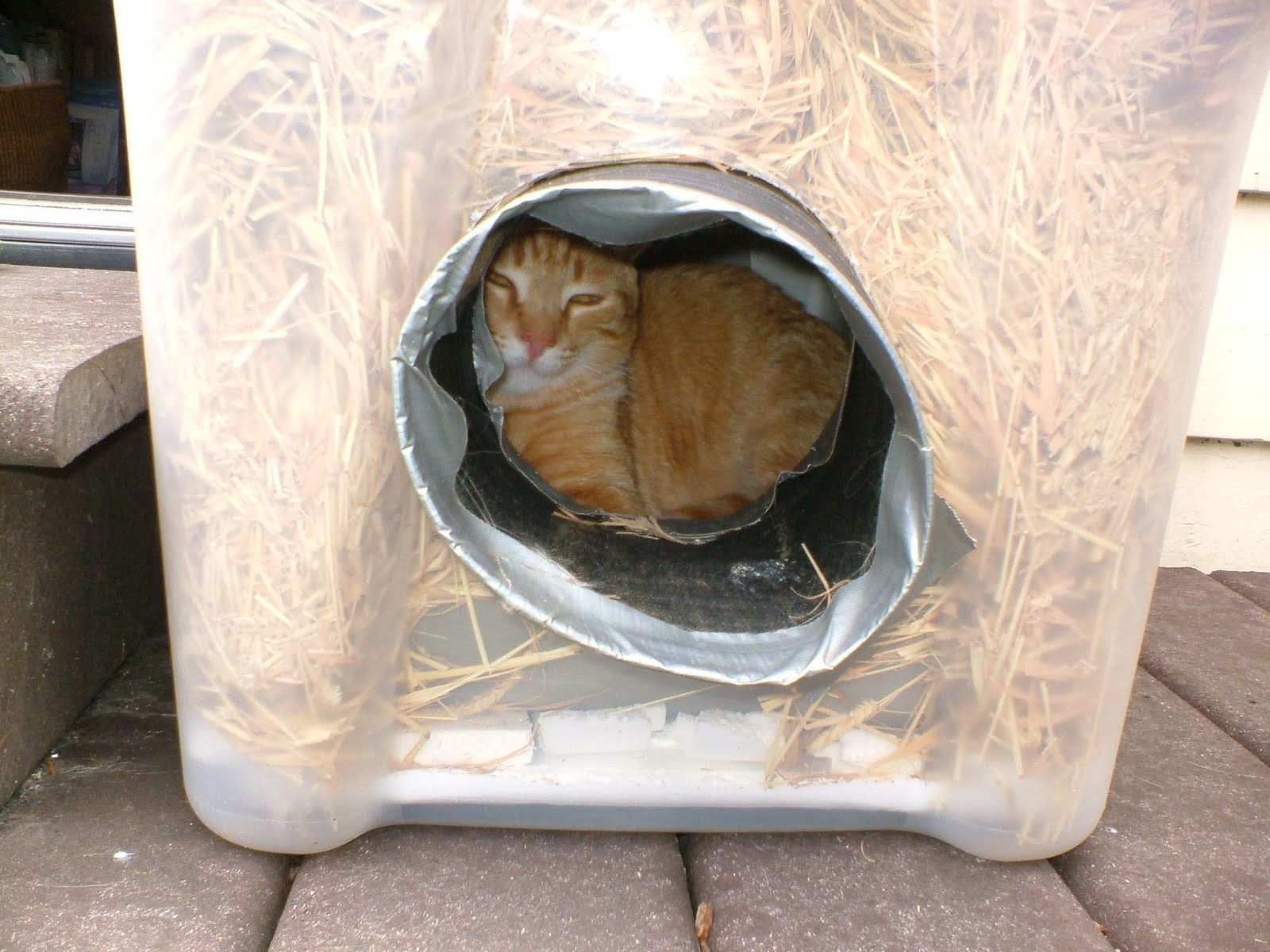 Diy Cat Shelter For Winter
 The Very Best Cats How to Make a Winter Shelter for an