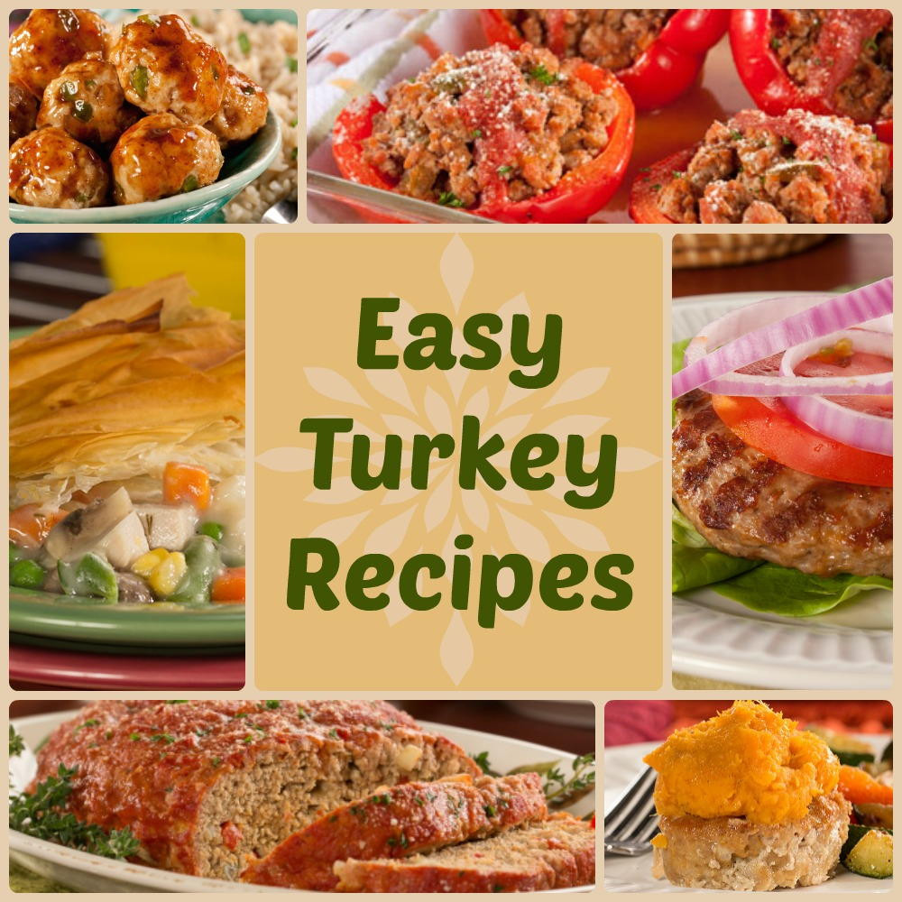 Easy Thanksgiving Food
 Quick & Healthy Dinner Recipes 18 Easy Turkey Recipes