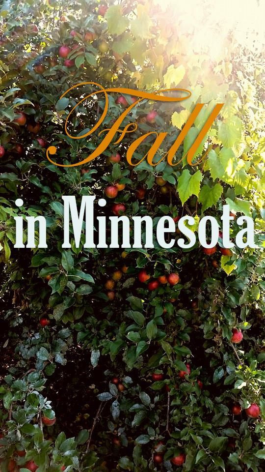 Fall Activities In Minneapolis
 Fun Fall Things to Do in Minnesota