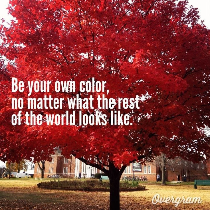 Fall Color Quotes
 25 best Autumn Quotes images on Pinterest