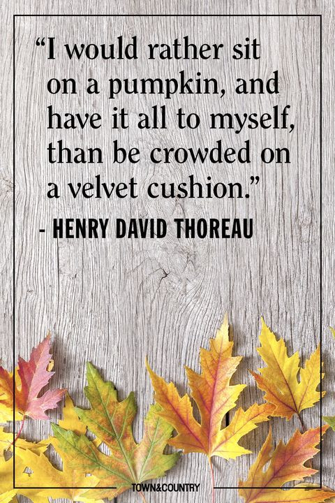 Fall Color Quotes
 15 Inspiring Fall Quotes Best Quotes and Sayings About