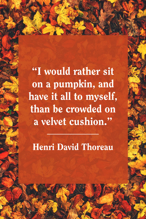 Fall Color Quotes
 40 Best Fall Quotes 2019 Autumn Quotes