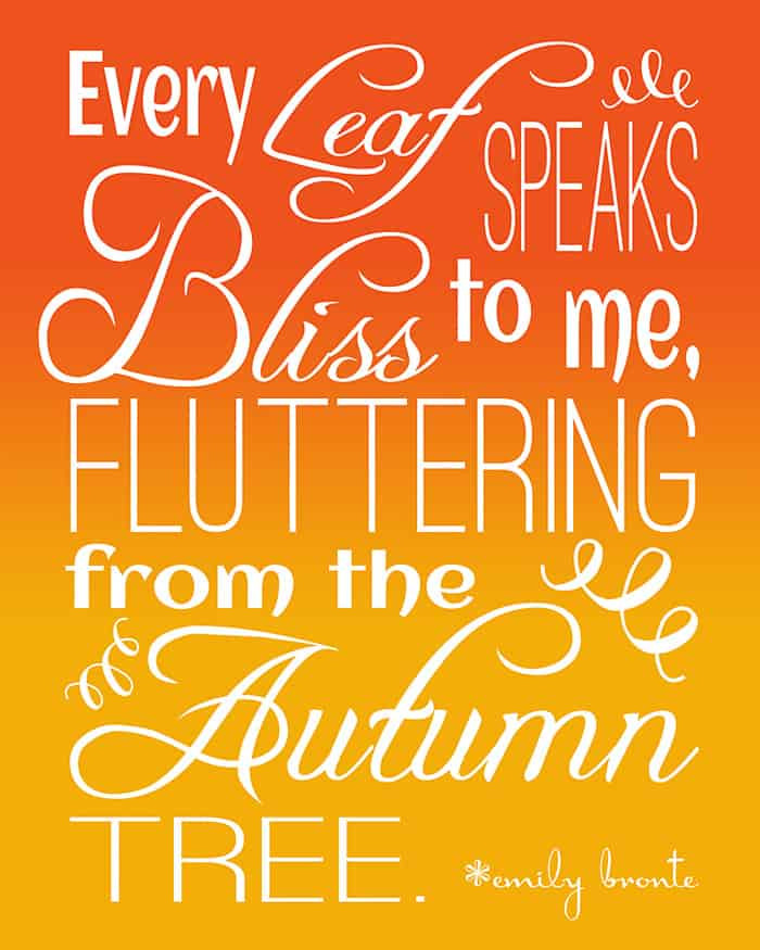 Fall Color Quotes
 Autumn Color Quotes QuotesGram