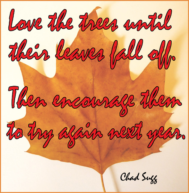 Fall Color Quotes
 Fall Leave Colors Quotes QuotesGram