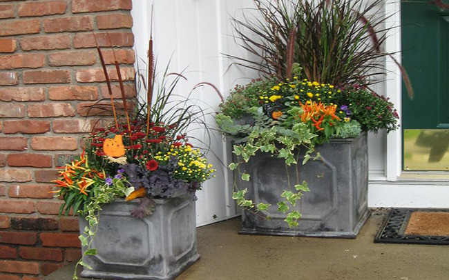 Fall Container Ideas
 Fabulous Fall Containers – The Garden Glove