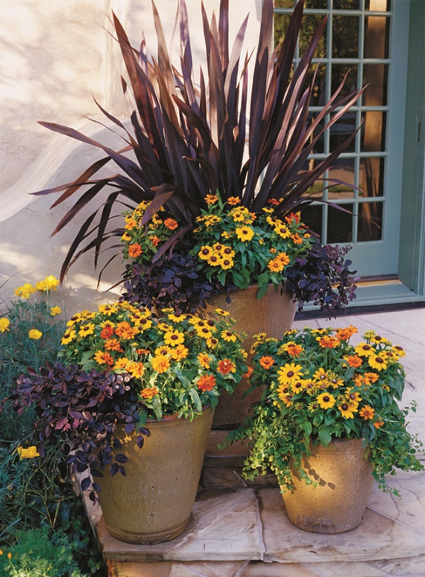 Fall Container Ideas
 Gardening Girl