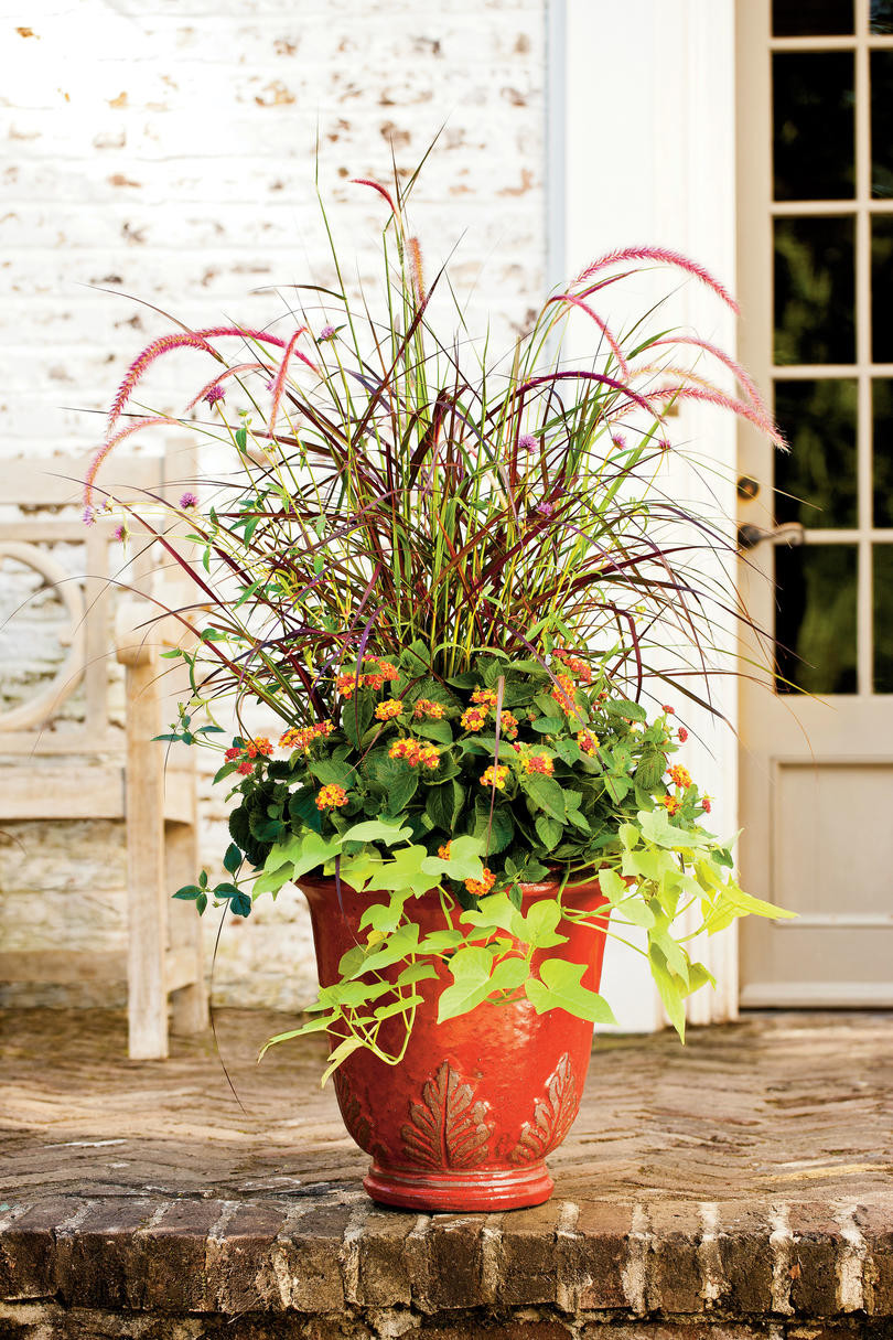 Fall Container Ideas
 Fall Container Gardening Ideas Southern Living