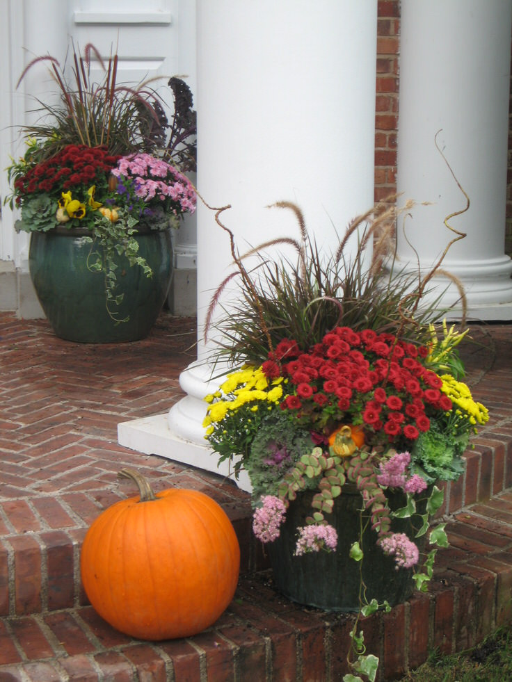 Fall Container Ideas
 Fabulous Fall Container Ideas
