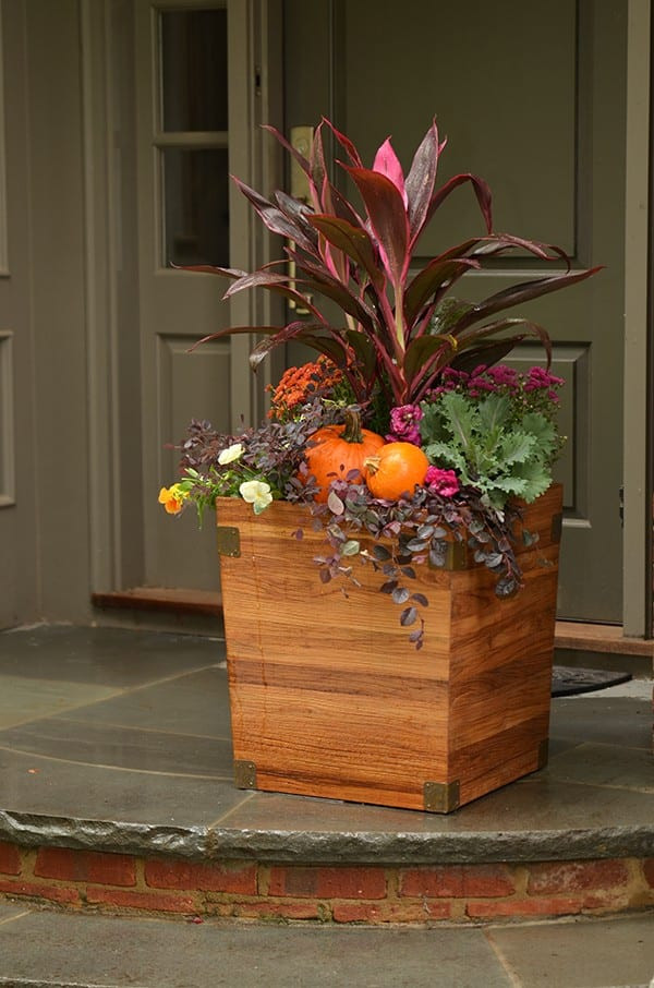 Fall Container Ideas
 4 Festive Ideas for Fall Container Gardening How To Decorate