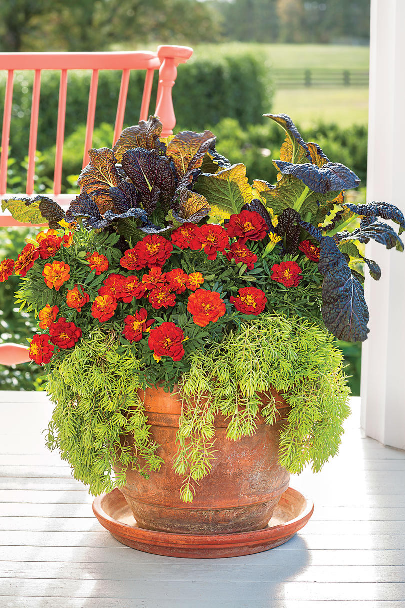 Fall Container Ideas
 Fall Container Gardening Ideas Southern Living