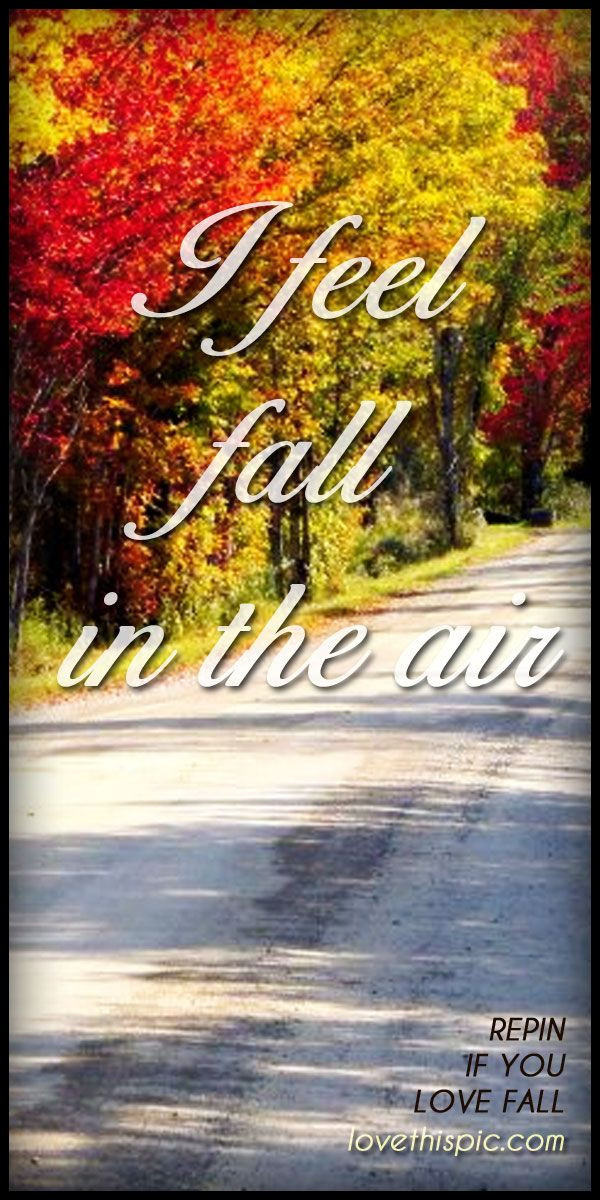 Fall Is In The Air Quotes
 1000 images about Fall quotes on Pinterest