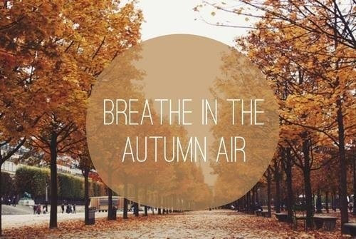 Fall Is In The Air Quotes
 Vegan GF Pumpkin Cookies – Dietitian Becky
