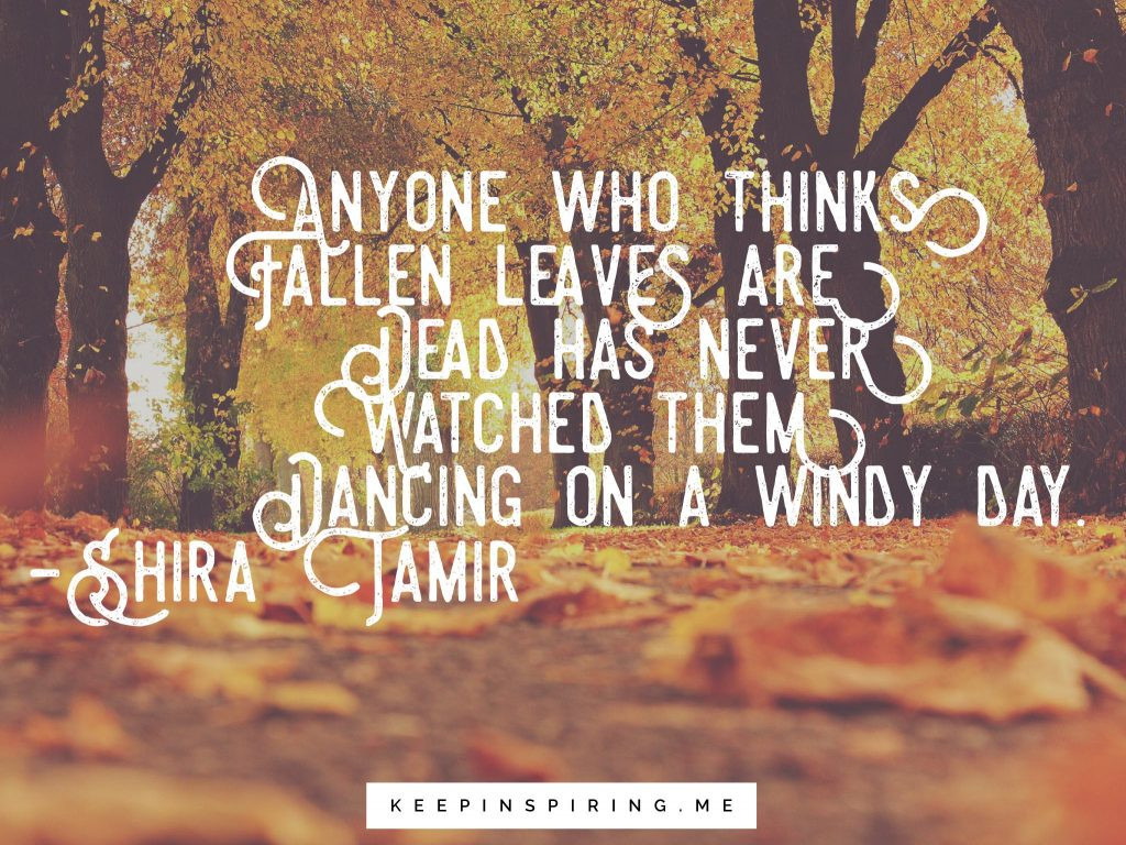 Fall Quotes
 Quotes About Fall
