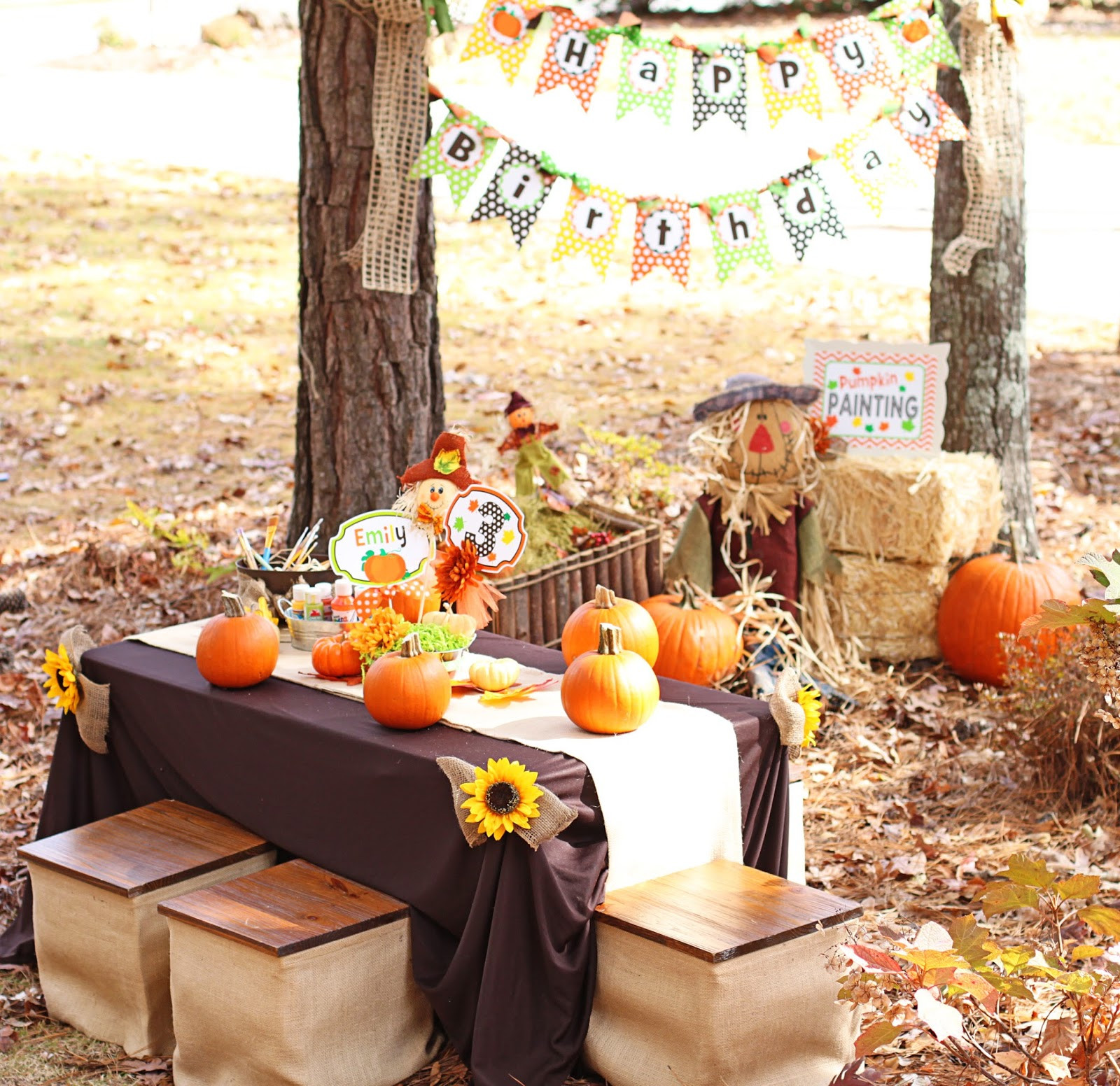 Fall Themed Party
 Amanda s Parties To Go Little Pumpkin Party Set