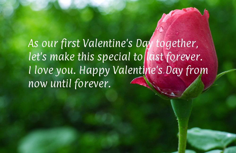 First Valentines Day Quotes
 Cute Valentines Day Sayings