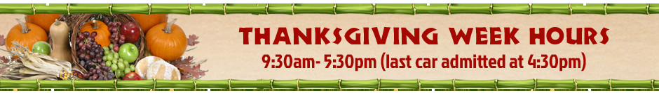 Food Lion Thanksgiving Hours
 Lion Country Safari