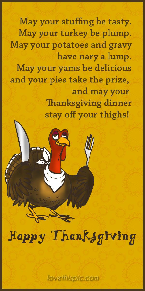 Funny Thanksgiving Quotes Photos
 Thanksgiving funny holiday thanksgiving humor