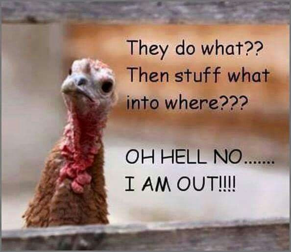 Funny Thanksgiving Quotes Photos
 413 best Thanksgiving images on Pinterest