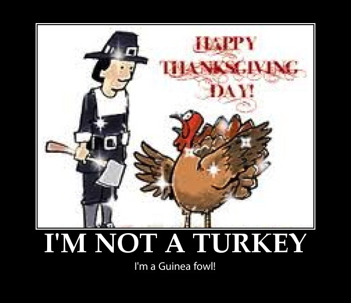 Funny Thanksgiving Quotes Photos
 Funny thanksgiving pictures happy thanksgiving pictures