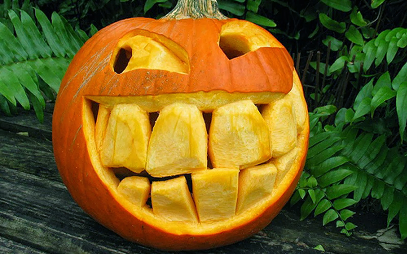 Halloween Carvings Ideas
 Funny Halloween Decorations